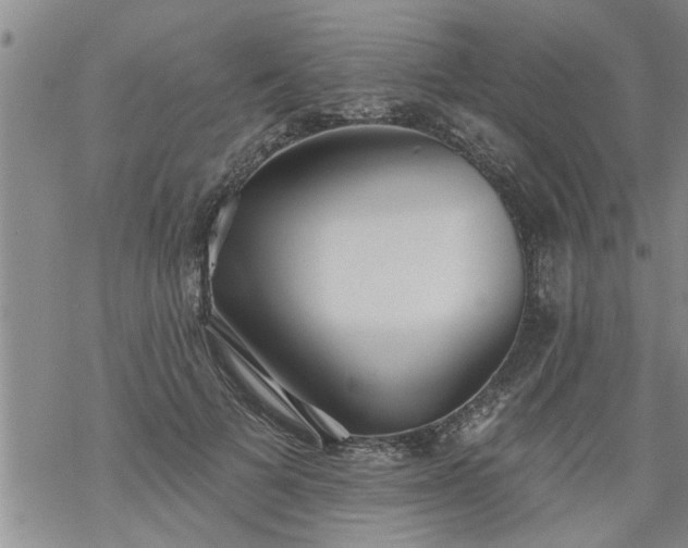 X0000069380697200605192149