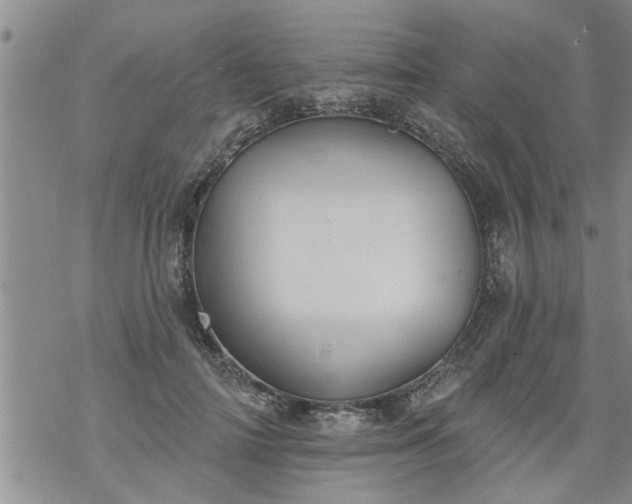 X0000069380698200605192149