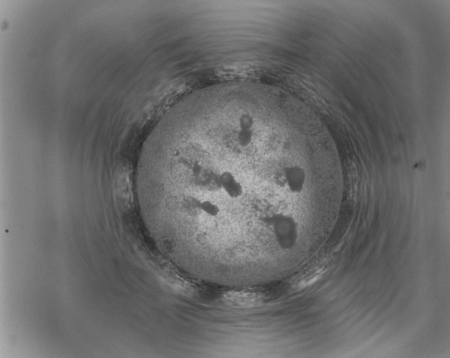 X0000069380699200605192149