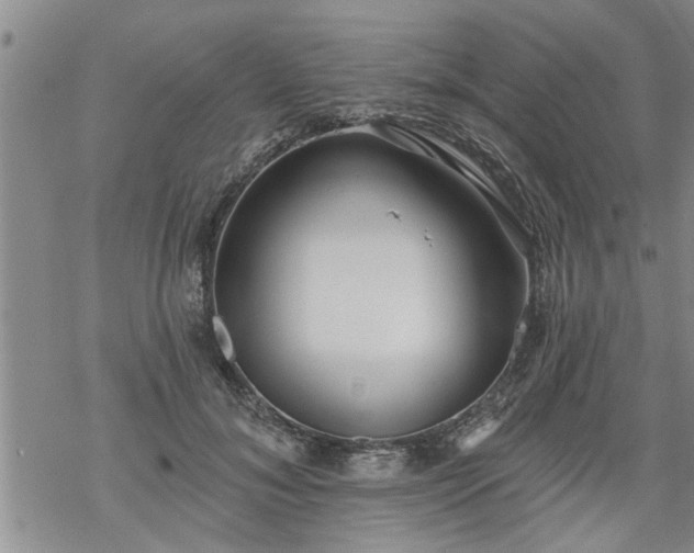 X0000069380700200605192149