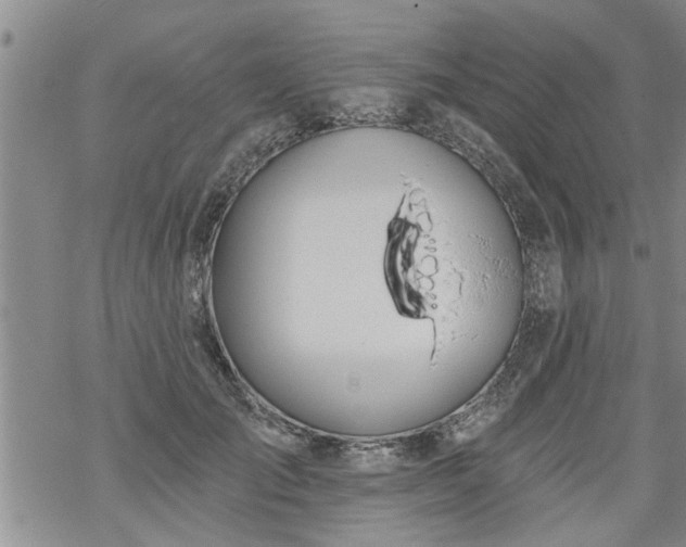 X0000069380701200605192149