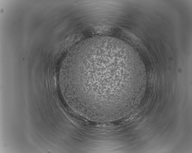 X0000069380703200605192149