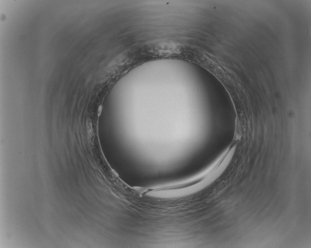 X0000069380704200605192149