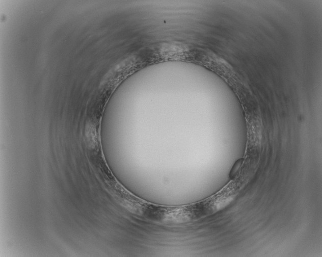 X0000069380705200605192149