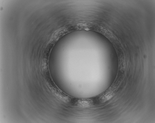 X0000069380706200605192149