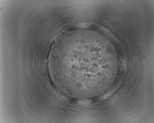 X0000069380707200605192149