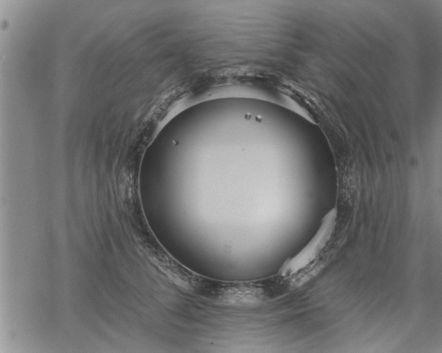 X0000069380708200605192149