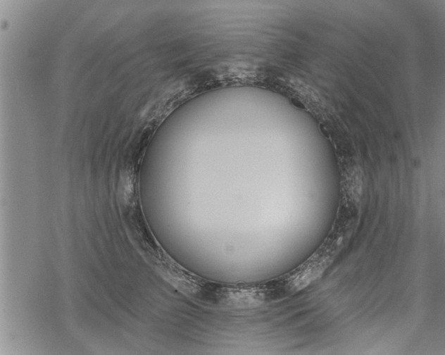 X0000069380709200605192149