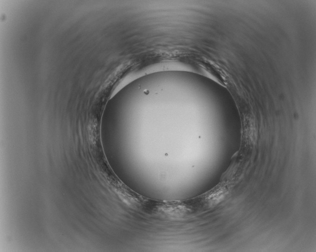 X0000069380712200605192149