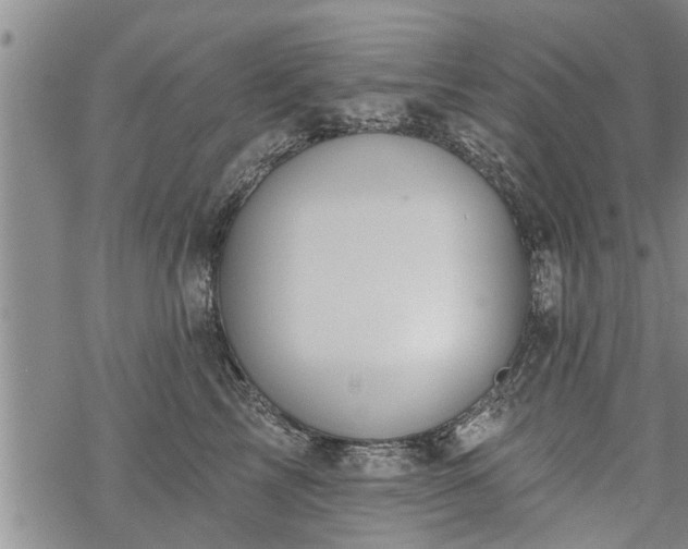 X0000069380713200605192149