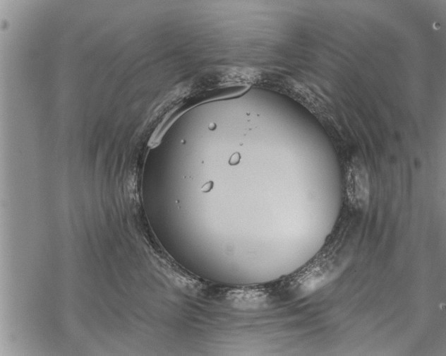 X0000069380714200605192149