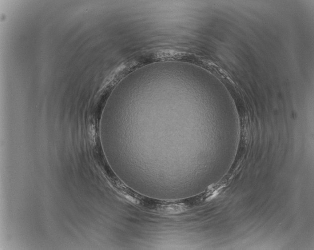 X0000069380716200605192149