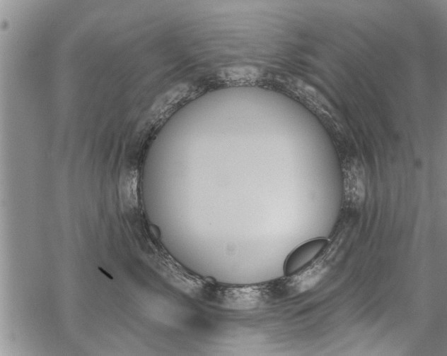 X0000069380717200605192149