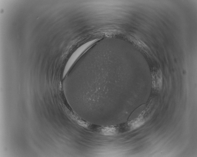 X0000069380718200605192149