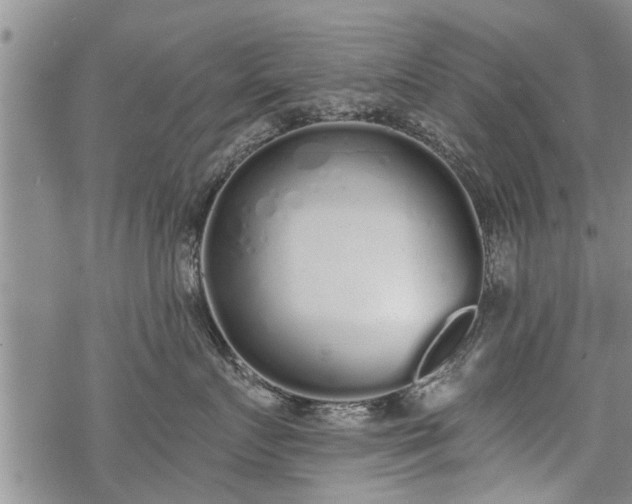 X0000069380719200605192149