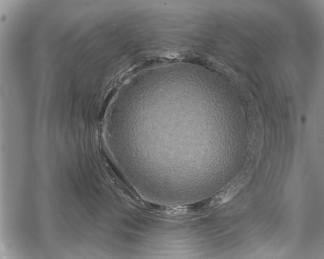 X0000069380720200605192149