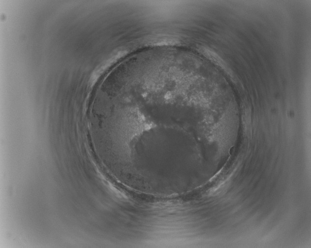 X0000069380721200605192148