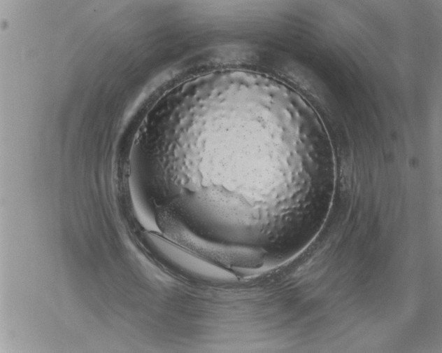 X0000069380722200605192148