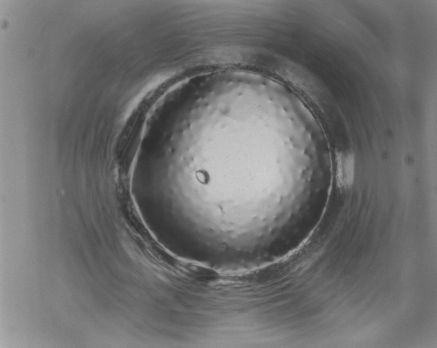 X0000069380723200605192148