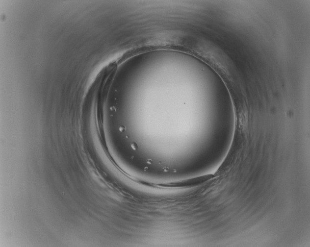 X0000069380724200605192148