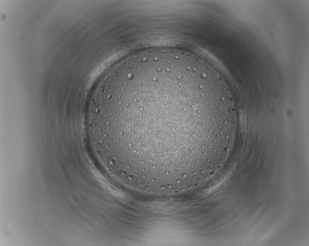 X0000069380725200605192148