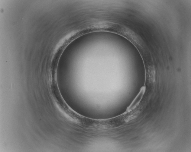 X0000069380726200605192148