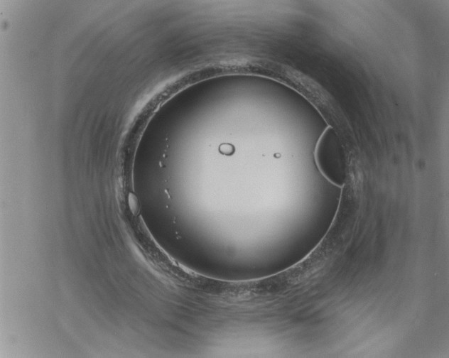 X0000069380728200605192148