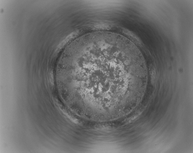 X0000069380729200605192148