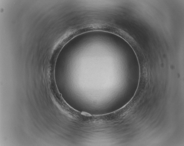 X0000069380730200605192148