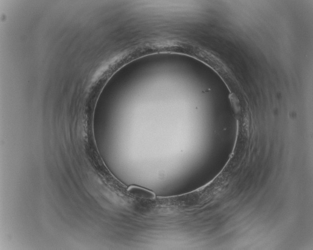 X0000069380732200605192148