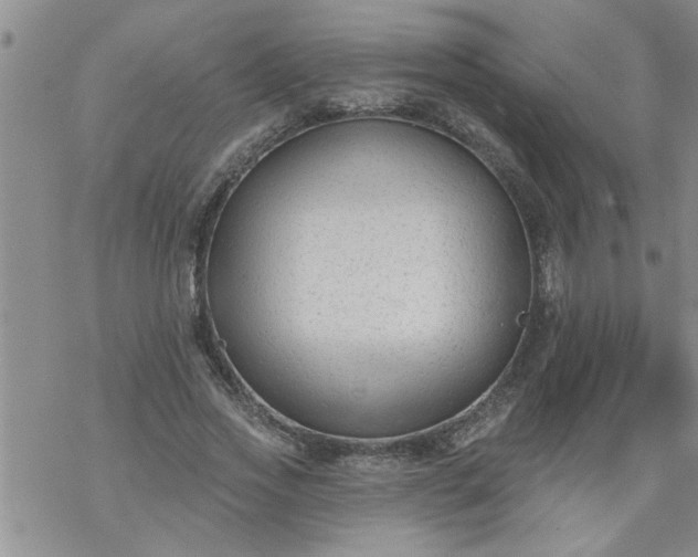 X0000069380733200605192148