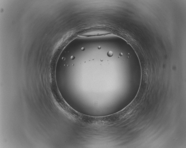 X0000069380734200605192148