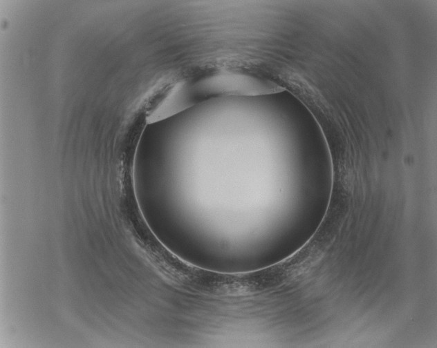 X0000069380735200605192148