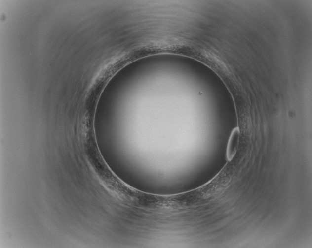 X0000069380736200605192148