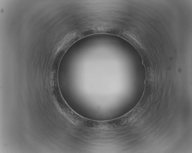 X0000069380738200605192148