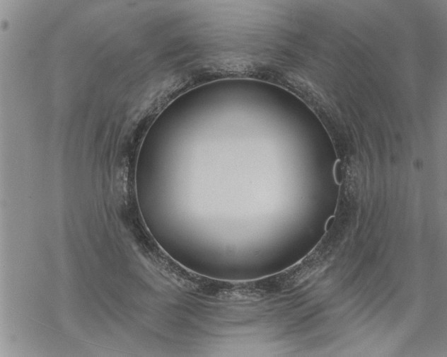 X0000069380739200605192148