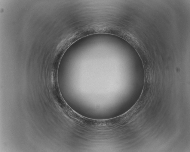 X0000069380740200605192148