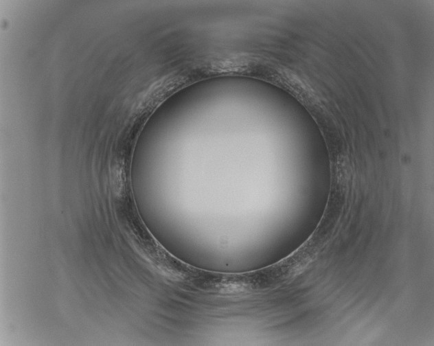 X0000069380741200605192148