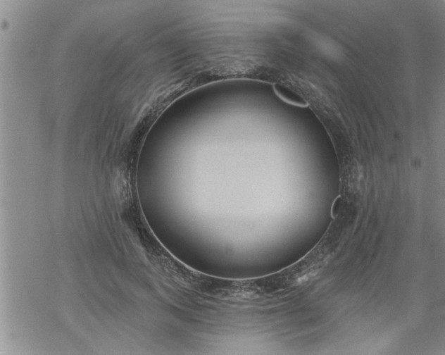 X0000069380743200605192148