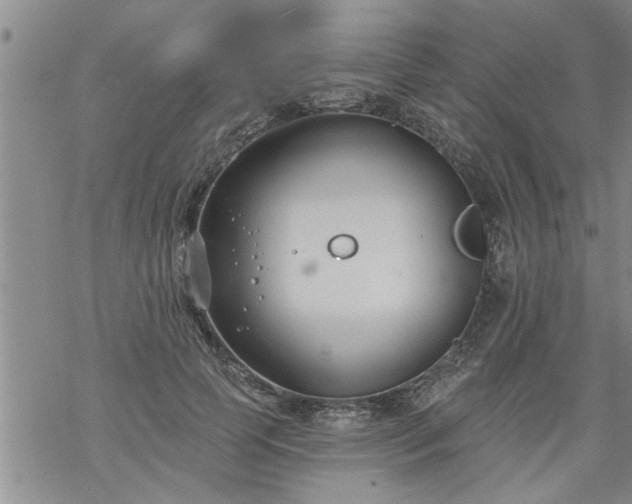 X0000069380745200605192148