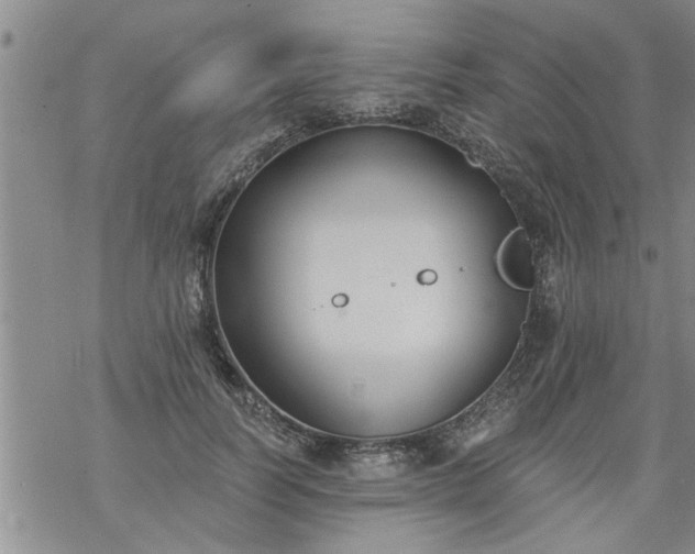 X0000069380746200605192148