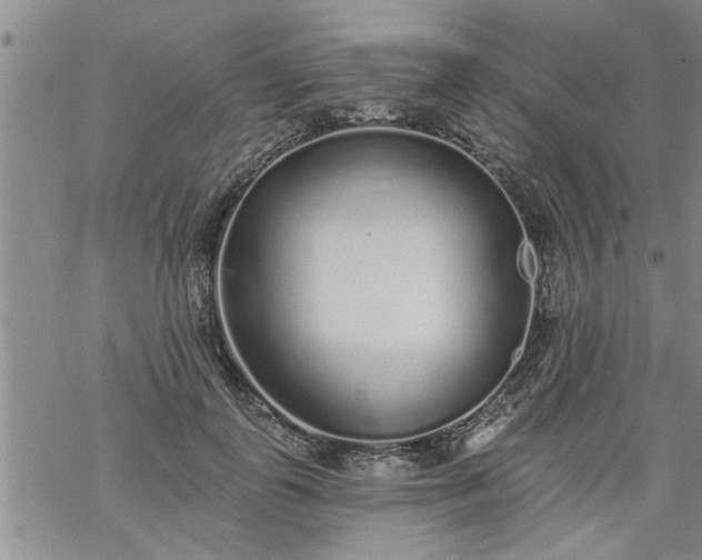 X0000069380747200605192148