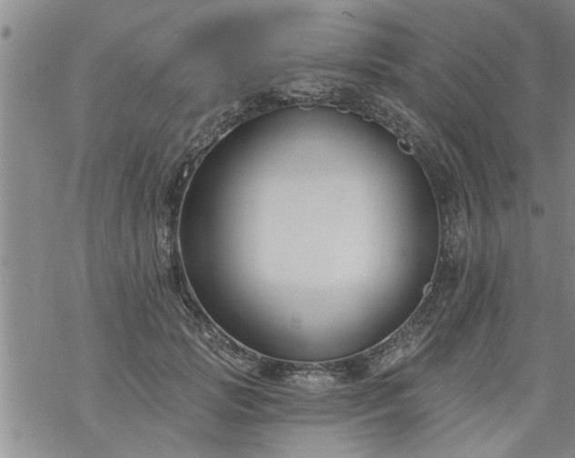 X0000069380749200605192148