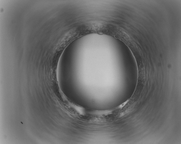 X0000069380750200605192148