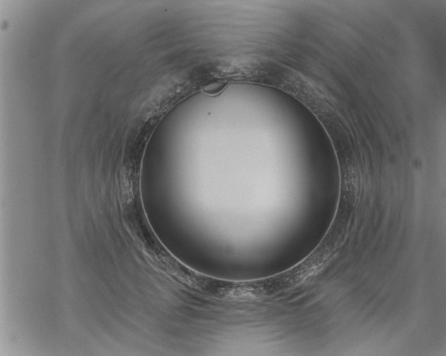 X0000069380751200605192148