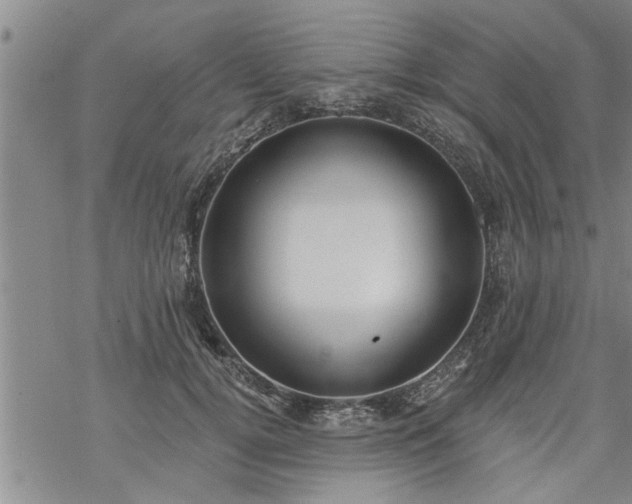 X0000069380752200605192148