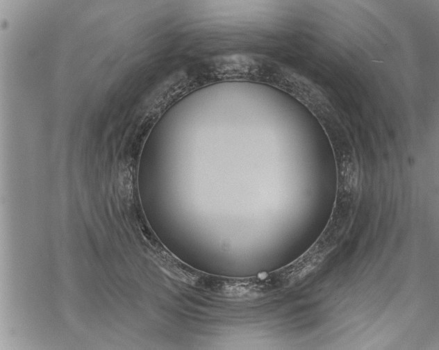 X0000069380753200605192148