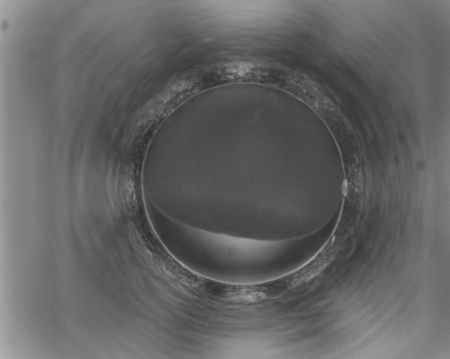 X0000069380754200605192148