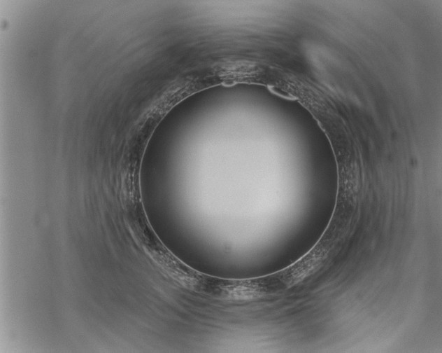 X0000069380755200605192148