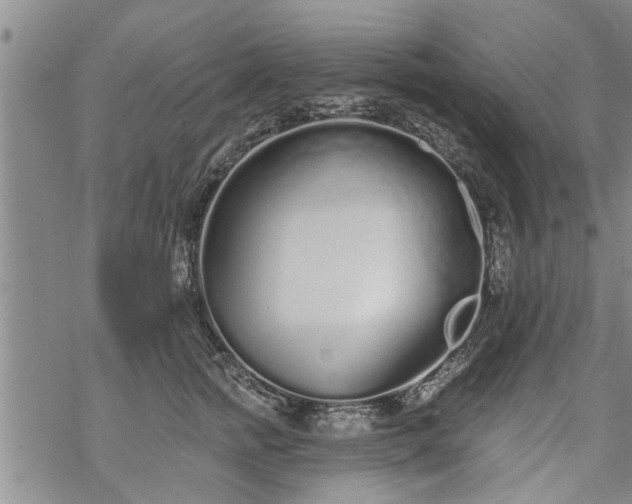 X0000069380758200605192149